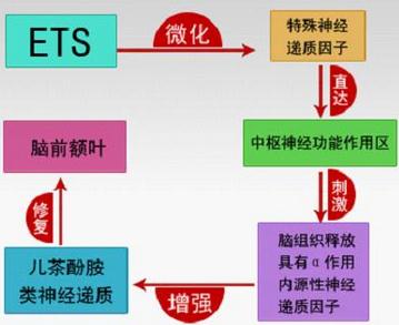 发现多动症病因，六一首度变革治疗体系