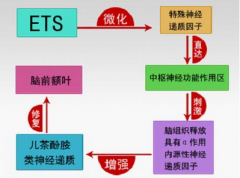 <b>美哈佛大学发现多动症病因，六一首度变革治疗体系</b>